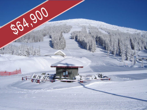 17 Cougar Road – Baldy Mountain Resort